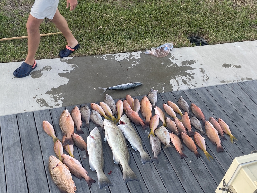 December 2020 Siesta Key Fishing Report